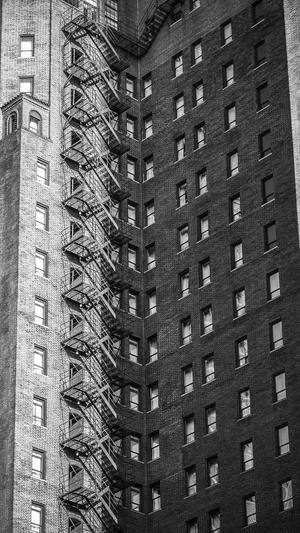 seo蜘蛛池快速收录推广截图1