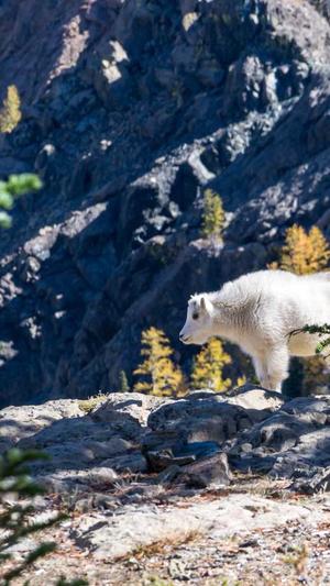 上海品牌网站建设公司截图3