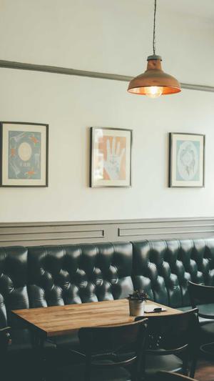 福建头条蜘蛛池出租截图3