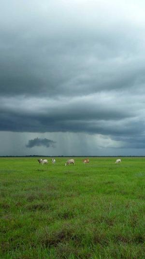 蜘蛛池 程序截图5