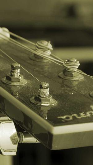 seo基础工具全集截图2