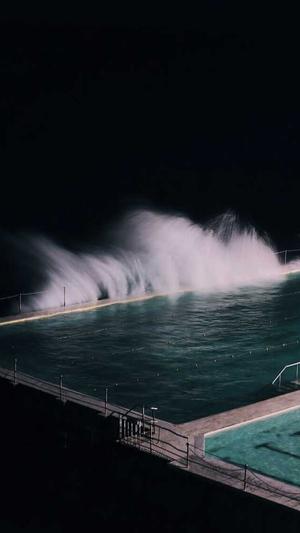 蜘蛛池用法截图4