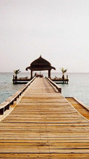 网站seo排名优化工具截图3