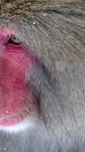 网站建设策划截图2