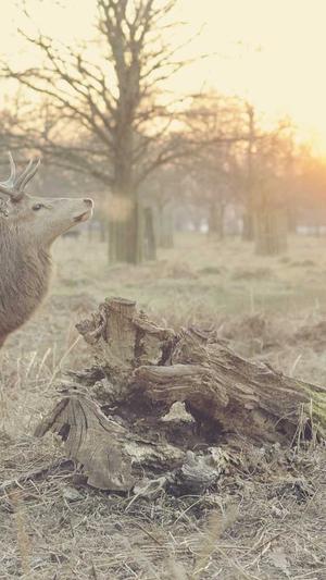 山西省住房建设厅网站截图2