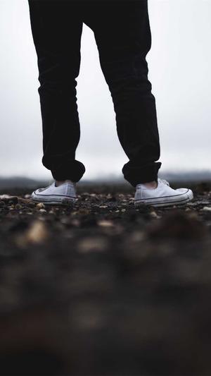 英文seo工具截图1