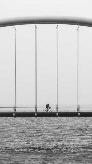 移动网站建设截图3