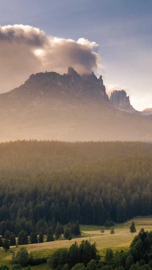 重庆seo点击工具截图4