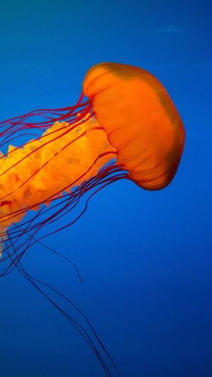 电子商务网站建设截图5