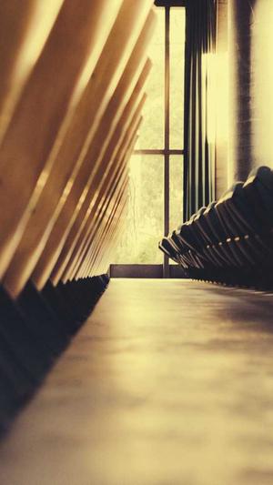 seo工具箱官方最新版截图1