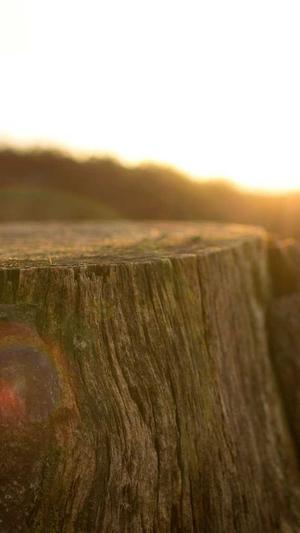 超级蜘蛛池是骗子截图5