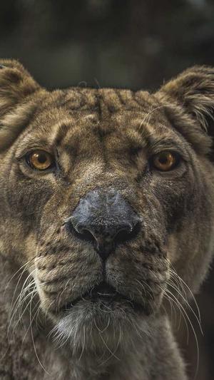 seo拓词工具截图2