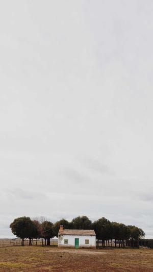 烟台网站建设公司截图1