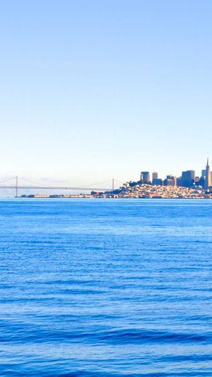 重庆seo优化截图3