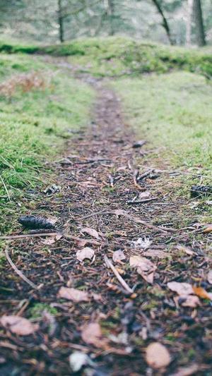 佛山美容院网站建设截图3