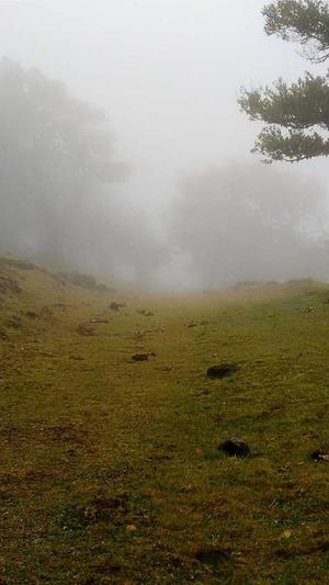 百度seo关键词工具截图2