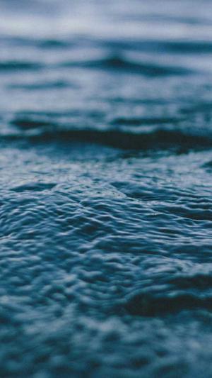 小旋风万能蜘蛛池截图3