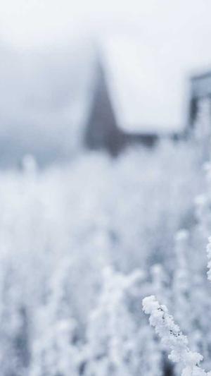 蜘蛛池源码带301截图2