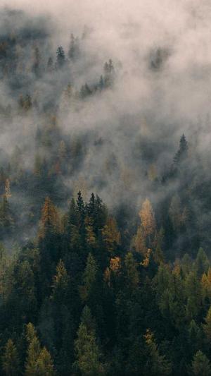 seo分析工具站长工具截图2