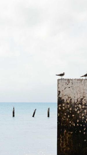 重庆网站seo推广截图2