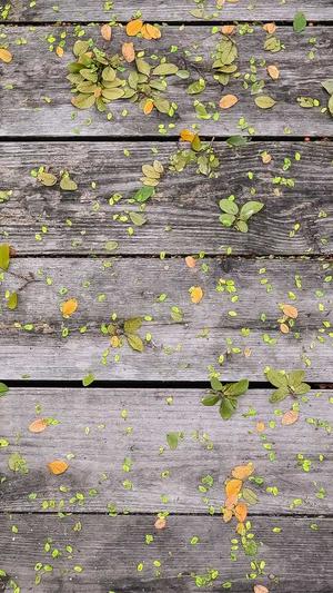 重庆seo排名优化流程截图3