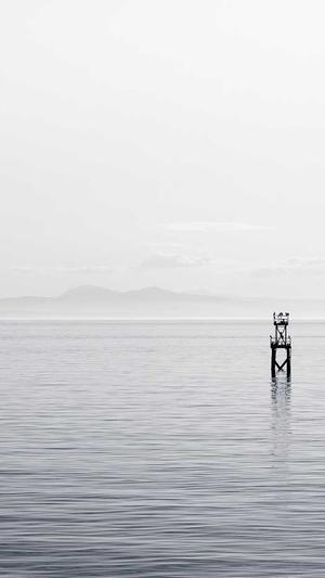 网站建设改版截图3