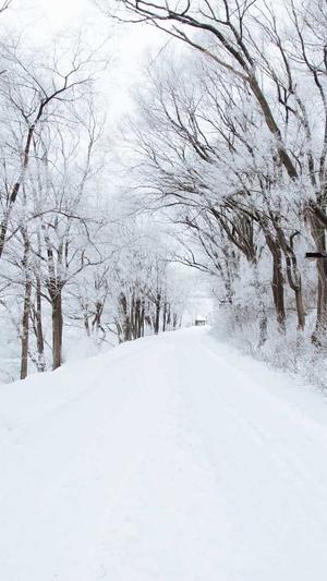 介休网站建设截图5