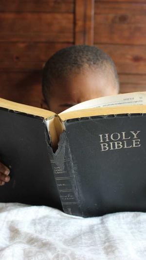 泛目录好还是站群好截图4