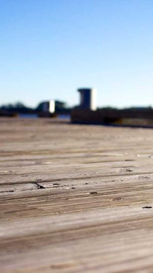 搜狗泛目录日收录截图1