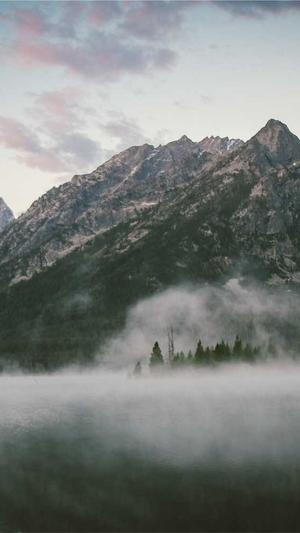 seo基础工具全集截图3