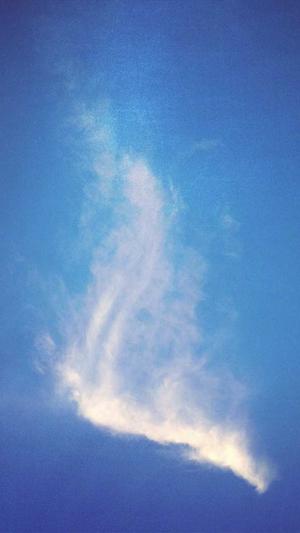 常州网站建设制作截图2