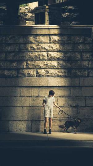 seo站外优化技巧截图1